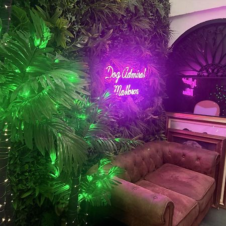 Dog Admiral - Urban Guest House Palma de Mallorca Luaran gambar